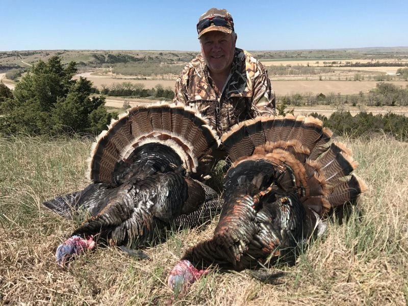 Thumbnail: Guided Merriam Turkey Hunts in South Dakota