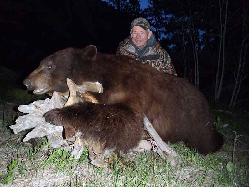 Best Black Bear hunts in Wyoming