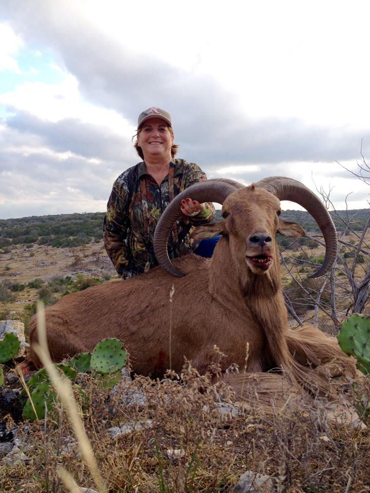 Thumbnail: Aoudad Hunting in Texas - Corporate Retreat