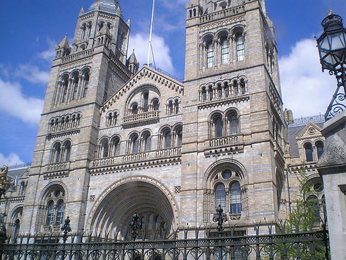 Natural_History_Museum_in_London_5-2013.