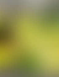 Detoks Endüstrisi Konuşurken, Vücudun Zaten Çalışıyor