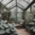 eucalyptus green house.jpg