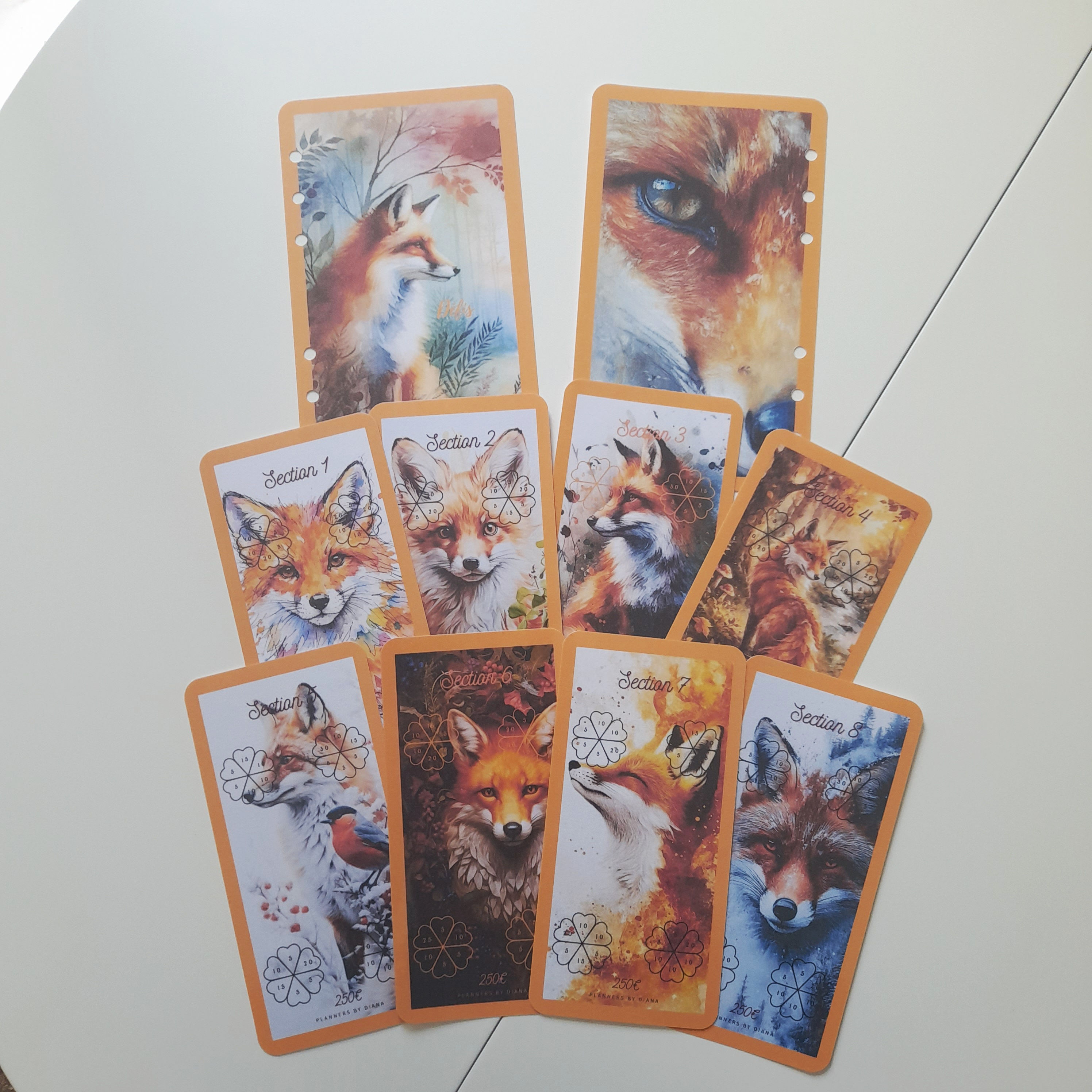 A6 Défis Renard 2000€