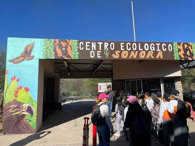 ¡AVENTURA SALVAJE SIN COSTO! NIÑOS ENTRAN GRATIS AL CENTRO ECOLÓGICO DE SONORA