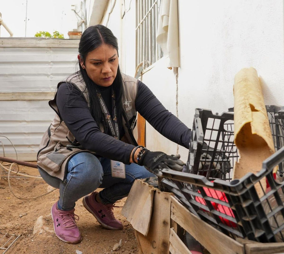“CASA LIMPIA”: LA CLAVE PARA FRENAR DENGUE Y RICKETTSIA EN SONORA ANTE CALOR Y LLUVIAS ATÍPICAS”