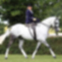 Horse Riding Instructor