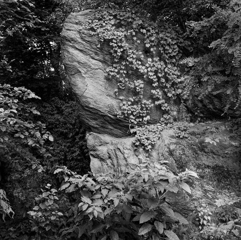 Black and White Landscape