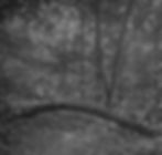 Discover My Photography
