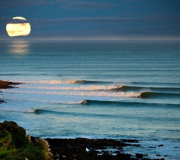 Raglan Point , West Coast , New Zealand.jpeg
