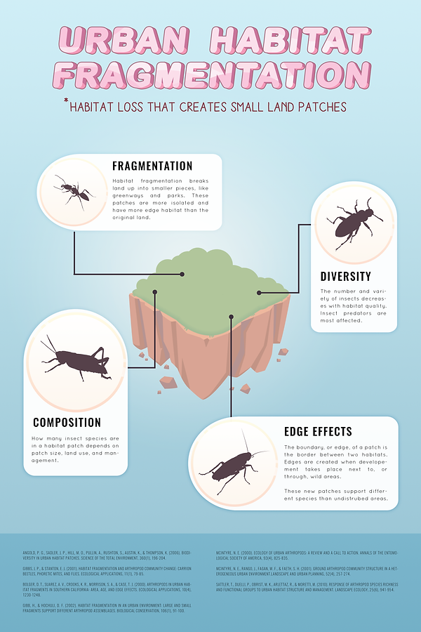 urbanecology infographic.png
