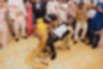 Wedding guests dancing and celebrating on reception dance floor