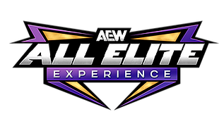 AEW All Elite Experience