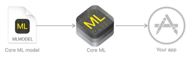 Core ML: Introduction