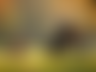 The Transformative Role of Companionship in Preventing Loneliness as We Age