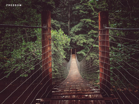 THE SWINGING BRIDGES OF WAYNE COUNTY, KENTUCKY
