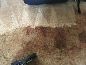 carpetcleaning.jpg