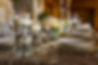 Table number and centerpice