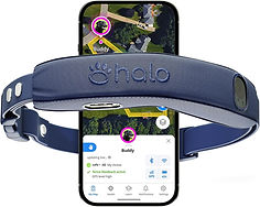 HALO COLLAR