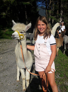 Alpaka mit Kind beim Alpakaspaziergang