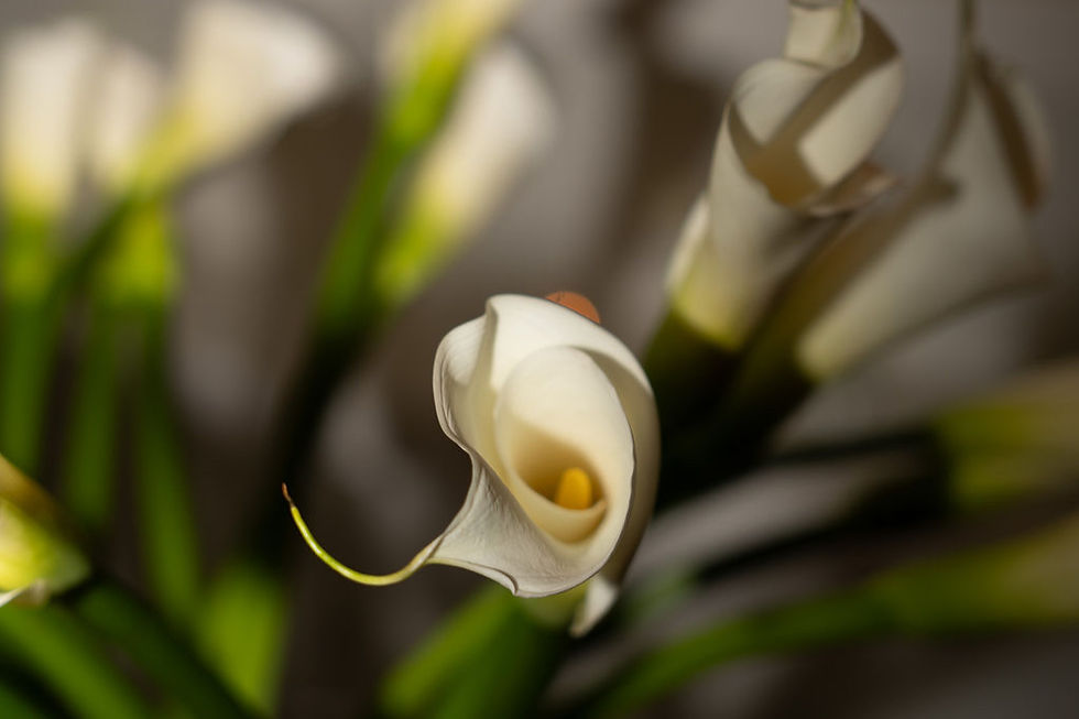 Le Art Space | Floral Workshop
