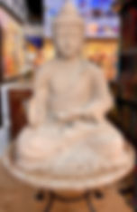 IMG-5672_edited.jpg