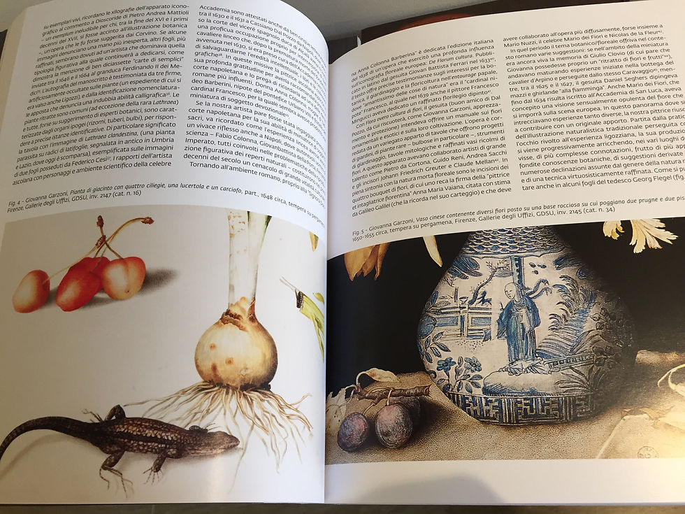 Miniatura: "La grandezza dell'universo" nell'arte di Giovanna Garzoni