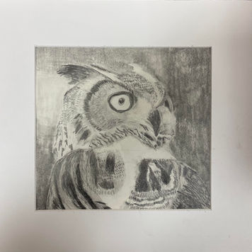 Ethan LaRoche's Owl Drawing