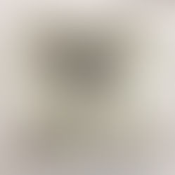 Ethan LaRoche's Wolf Drawing