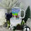 Thumbnail: reindeer winter wonderland coffee mug by florida girl