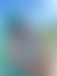 Florida Girl Adventures May 2024