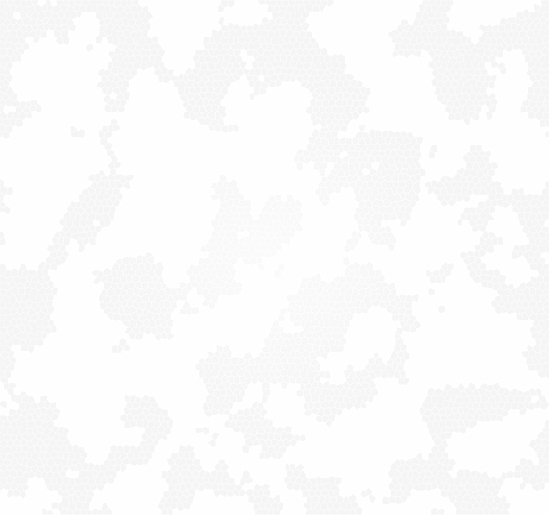 Honeycomb