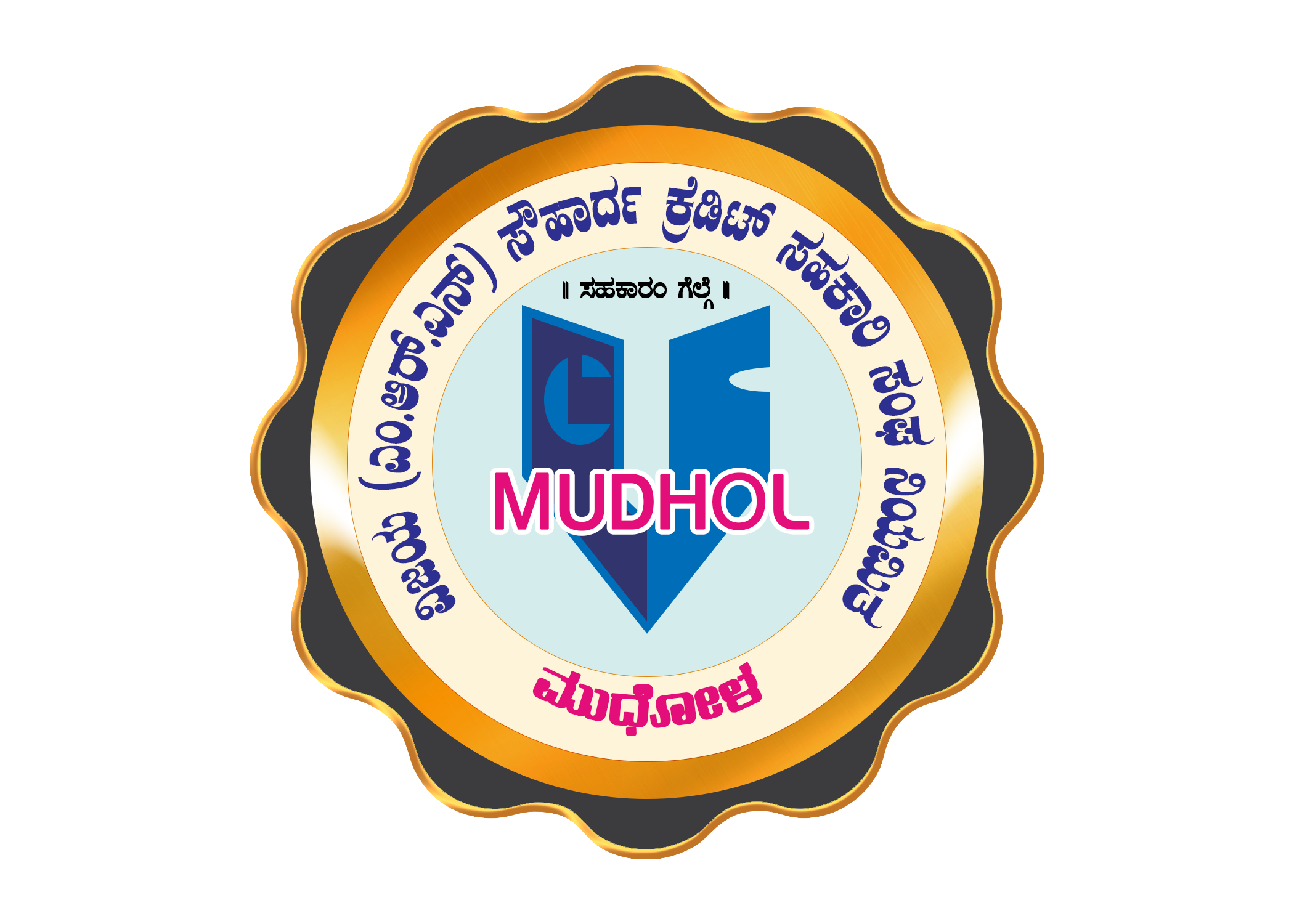 logo vscsl.png