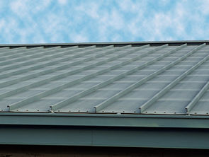 Share Your Thoughts - July, 2021