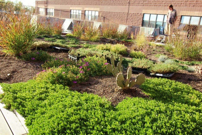Green Roofs