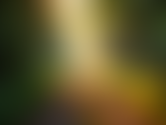 How Emotional Healing Therapy Can Transform Your Life