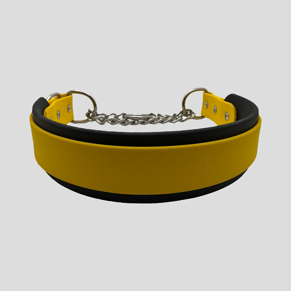 Thumbnail: Heavy Duty Double Layered None Adjustable Martingale Collar