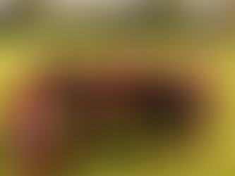 YEAR 5/6 Tag Rugby League