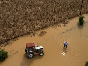 Η ανασυγκρότηση της Θεσσαλίας και οι «Ολλανδοί»