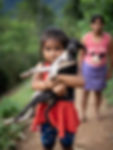 sustainable agroforestry coffee plantation