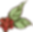 ripe coffee
