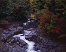 中津川渓谷・紅葉(裏磐梯・秋元湖近辺)