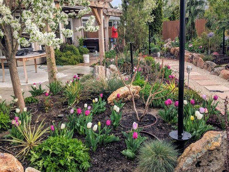 Boise, Are you ready for spring?