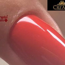 19511222_1466690406685250_8817106734109848732_n