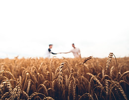 Two men with outstretched arms reaching across a field to shake hands in the distance.