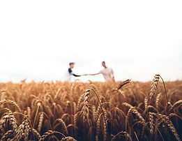 \Two men with outstretched arms reaching across a field to shake hands in the distance.