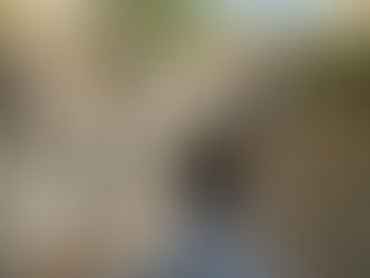 “Jo Jo’s Mystery Day Tour”