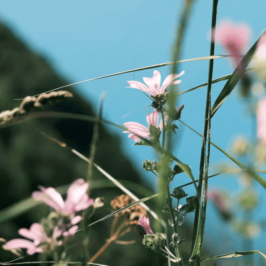 Untitled design-3.gif