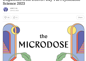 Screen Shot 2023-07-05 at 12.52.19 PM.png