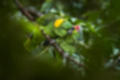 AdobeStock_574999259.jpeg