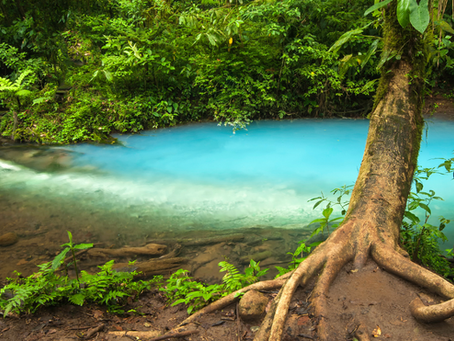 The starting point of Rio Celeste at Tenorio Volcano National Park
